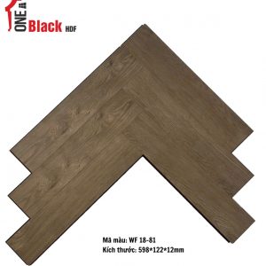 Wf 18-81