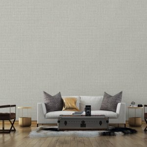 The Modern Living Room Interior Design And Concrete Wall Backgro